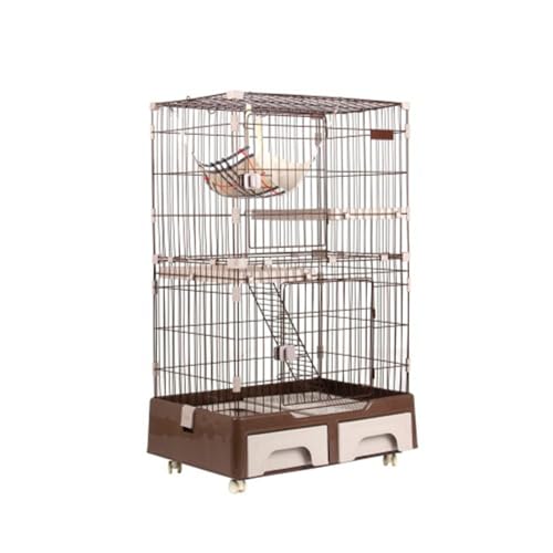 L 2w LgC LX^[ nbN L LnEX obNی Eh~ @\ ybg X`[ ybgP[W (A)