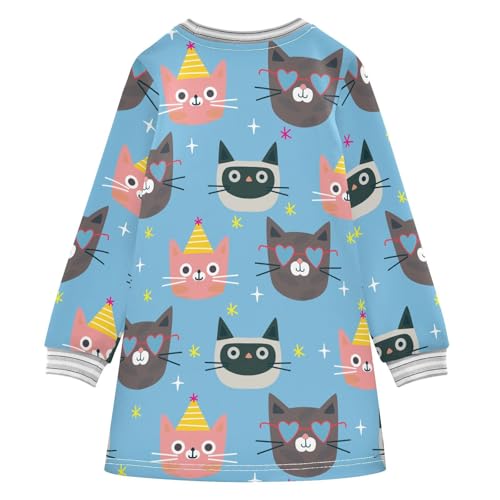 Cat in Hat Girls Dresses Long Sleeve Sweatshirt Dress for Girls Winter Toddler Casual A Line Dresses Size 2-8T2