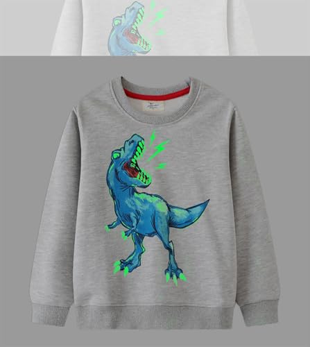 Boys Sweatshirts Casual Sweatshirts Cotton Sweatshirts Long Sleeve T-shirts Crew Neck Cartoon Tops for Boys-6524