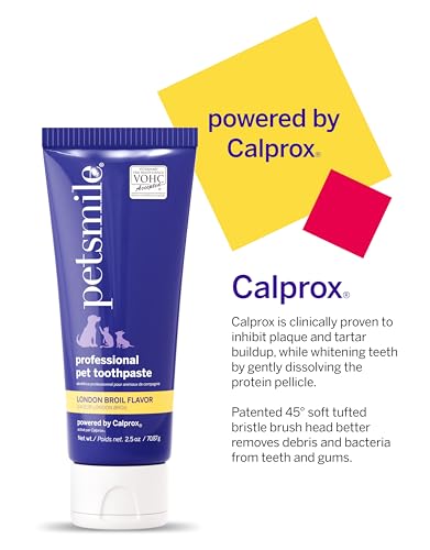 Image of Petsmile Professional Pet Toothpaste, London Broil 2.5 Oz, Cats + Dogs | VOHC Accepted, Calprox Powered. Fights plaque + tartar. Remineralizes & whitens teeth. No-Brush Required. 4-month supply.