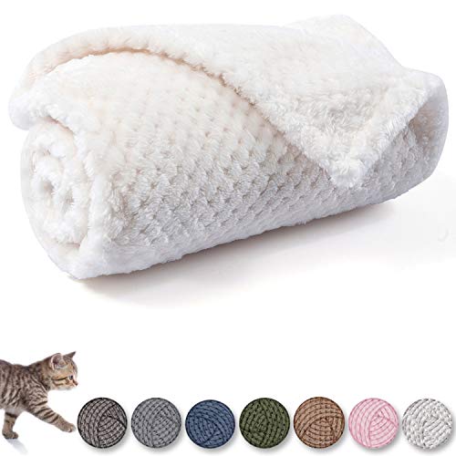 Image of Warm Soft Fuzzy Dog or Cat Blanket, Plush Fleece Throws for Puppy, Kitten, Medium, Large Dogs - Ivory (L /40 inch x 48 inch)