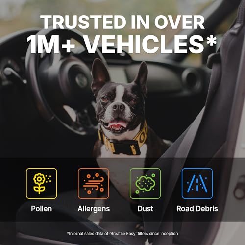 Spearhead OEM+ Particulate Breathe Easy Cabin Filter, Fits Like OEM, Provides Max Airflow & Enhanced Performance (BE-285P)