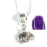 Guinea Pig Jewelry | Guinea Pig Necklace on a 22 inch Silver Plated Snake Chain Great Guinea Pig...