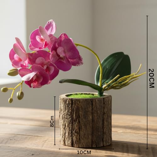 Image of Dekorly Artificial Orchid Flower Plant with Decorative Pot | 1 Stick Faux Orchid Plant | 20 cm Tall Indoor Tabletop Decor for Home, Living Room, Office Desk, Shelf, Hotel & Gift Decoration (Pink)