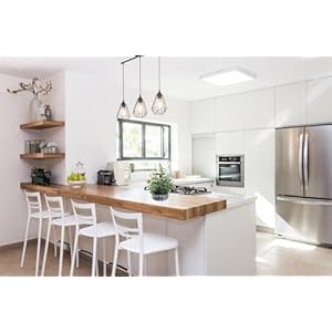 Artificialplantspottedreallookingsmallfauxplantwithrusticblackcementplanterforkitchenofficedeskbookshelfdecoreucalyptusplant Urban Country Home Decor Artificial plants potted real looking small faux plant with rustic black cement planter for kitchen office desk bookshelf decor eucalyptus plant urban country home decor