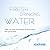 ICEPURE NSF/ANSI 42 3US-AF01 Under Sink Water Filter, Compatible with Standard Filtrete 3US-AF01, 3US-AS01, Whirlpool WHCF-SRC, WHCF-SUFC, WHCF-SUF, Pack of 1