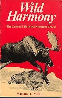 Wild Harmony: The Cycle of Life in the Northern Forest