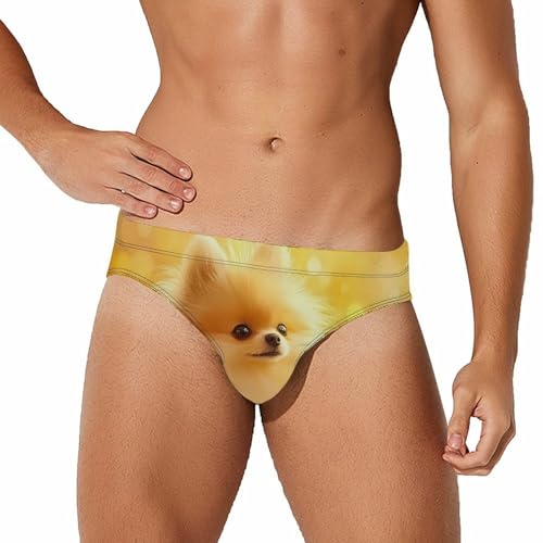 Cute Fluffy Pomeranian Men's Swim Trunks Briefs Swimsuit Swimwear Bathing for Underwear Beach
