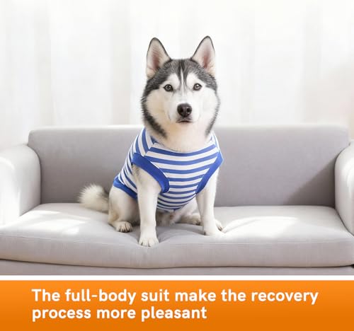 Image of Dog Surgery Recovery Suit Dogs Neuter Spay Female Male Protective Clothes, Blue White XL