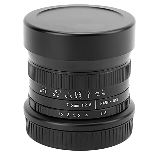 Lente Ojo de Pez 7.5mm F2.8 II para Nikon Z - Fernando Cortés