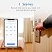 Interruptor de Pared Wi-Fi 2 Vías, 1 Canal, Compatible con Alexa, Asistente...