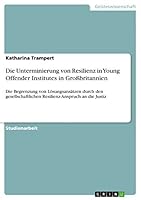 Die Unterminierung von Resilienz in Young Offender Institutes in Gro�britannien: Die Begrenzung von L�sungsans�tzen durch den gesellschaftlichen Resilienz-Anspruch an die Justiz 3656927251 Book Cover