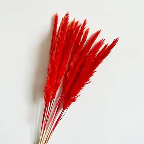 Mabor Fashion 15Pcs/Set Natural Pampas Grass Dried Flower Home Wedding Plants Bunch Decor (Red) Cover