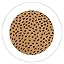 A Iced Coffee Dot Print (V-waistband)