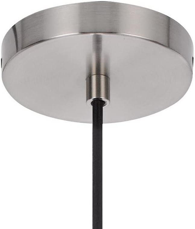 Brushed Steel and Rope LED Pendant Light Fixture