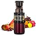 Extracteur à jus Biochef Atlas Whole Slow Noir Extracteur à jus Biochef Atlas Whole Slow Noir