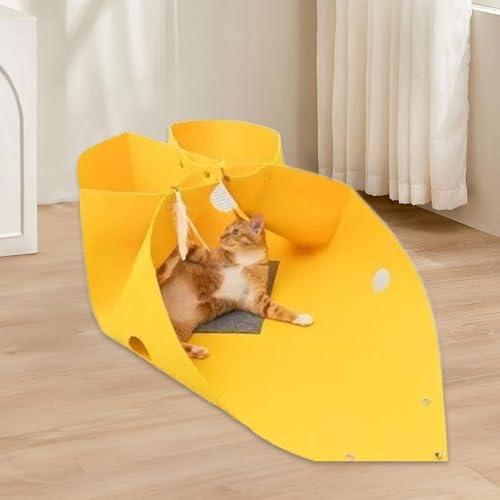 Grotte pour chat interactive avec tunnel de lit beignet déformable - 3