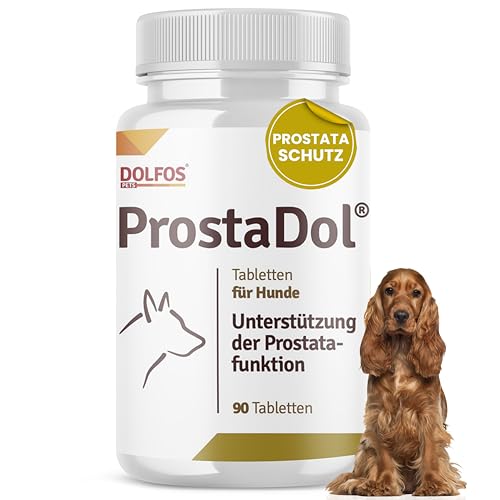 Faszinierend Vergrosserte Prostata Hund Hausmittel Ebenbild