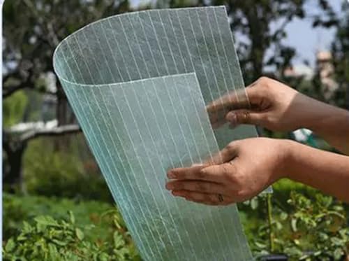 Plaque transparente polycarbonate pour pergola et terrasse lumineuse
