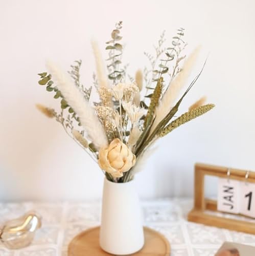 Demanca hCt[ vU[uht[ ͂Ȃ ԕrt k ԑ u[P t[AWg lHϗtA  v[g Mtg 蕨 k  Be DIY LO (5)