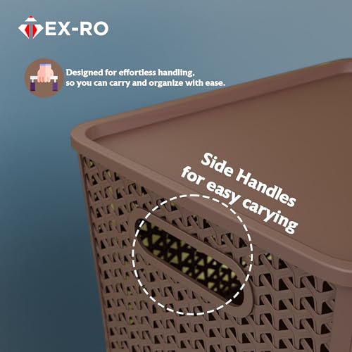 Image of TEX-RO Big Storage Box and Organiser | Storage & Organizers | Organizer Storage Box for Kitchen, Clothes | Durable Storage Basket With Lid & Plastic Basket for Storage (Pack of 3, multicolor)