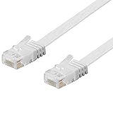 BestPlug