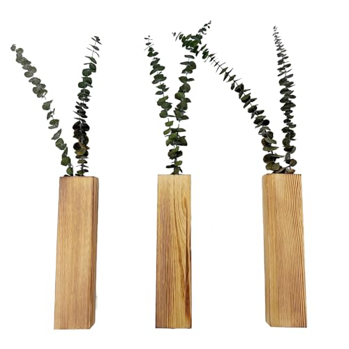 Suerhatcon 3 Stück Wandvase Holz Wand Pflanzgefäß für den Innenbereich...