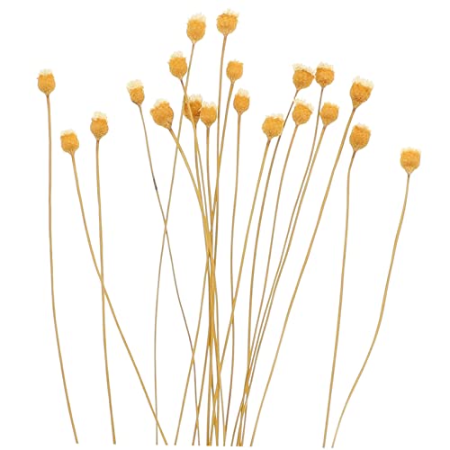 Ipetboom 20 piezas difusor aroma varillas rattan natural miniatura 1