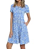 TAOHUADAO Women's 2025 Summer Casual Tshirt Dresses Short Sleeve Ruffle Swing Dress with Pockets Medium, Blue White Flower