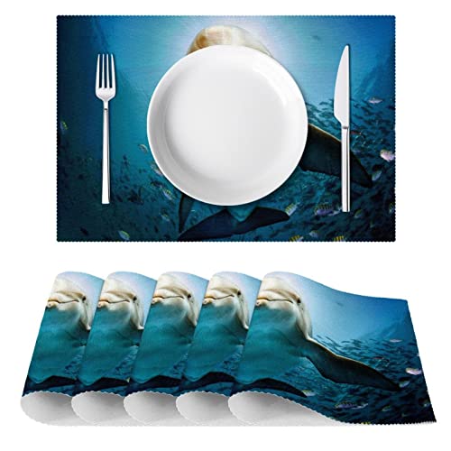 Set de table tissu Oxford résistant à la chaleur dauphin x4