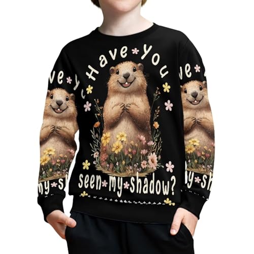 Hawapod Cute Sweatshirts For Teen Girls Happy Groundhog Day Long Sleeve Pullover Spring Crewneck Sweatshirt3