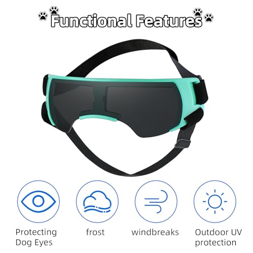 Sonnenbrille für Kleine Hunde, Augenschutz Brille Windschutzbrille,UV-Schutz Hunde Sonnenbrillen,Beschlagfrei,Hundebrille für Haustiere, für Motorrad Hundefahrradkorb Cabrio (Blau)