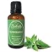 Peppermint Essential Oil (100% Pure Mentha Piperita). Common Uses: Colds, Congestion, Fever Reducer, Headache Relief, Joint Therapy, Mouthwash, Rodent Repellant. (30mL/1oz)