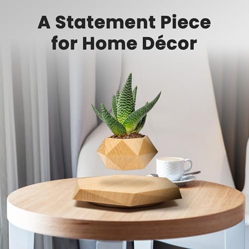 BandDlevs Floating Pots for Plants - Levitating Pot - Levitating Planter for Bonsai, Succulents, Air Plants - Floating Magnetic Display for Home Office Desks - Magnetic Levitation Plant Holder (Wood)
