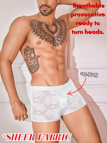 Mens Sexy Floral Lace Lingerie, Low Rise Sissy Pouch Panties, Ice Silk Sheer Boxer Briefs4