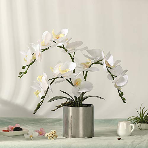 Lesing Artificial Orchid Flower With Vase, White Orchid Bonsai Faux Orchid Phalaenopsis Plant Pot Arrangements For Home Decoration (White,Silver Vase) #TOP1