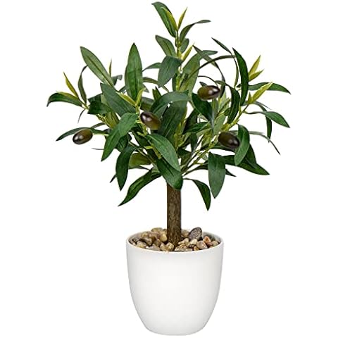 Hollyone Artificial Olive Plant in White Pot Cover