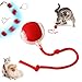 Hund und günstig Kaufen-Interaktives Katzenspielzeug Katzenball, Katzenspielzeug Elektrisch Katzenball Katzenspielzeug Selbstbeschäftigung Automatisch Rollender Intelligenz Katzenspielzeug Ball für Katzen Hunde (Rot)