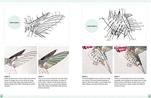 Embroidery Made Easy: Beautiful Birds: Easy Techniques for Learning to Embroider a Variety of Colorf
