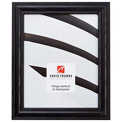 Craig Frames 440BK 16 x 20-Inch Picture Frame, Wood Grain Finish,...