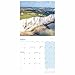 Carousel Worldwide, Kent 2026 Square Wall Calendar