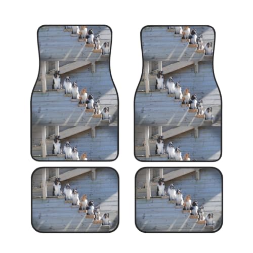 Alfombrillas de coche antideslizantes de neopreno con pack completo de 4 piezas