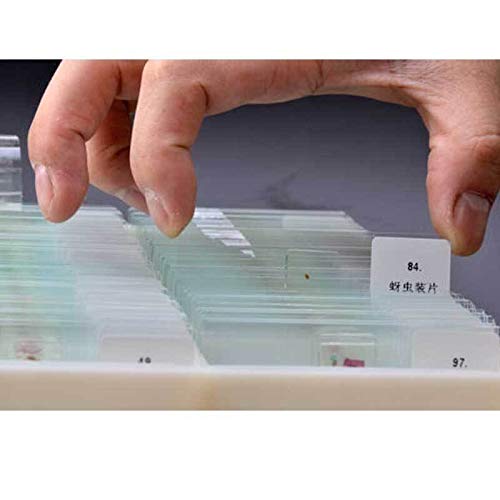 100PCS Professionale Slice Vetro Vetrini for microscopio educativo Esemplare Umano Tessuto sezioni con Scatola di plastica