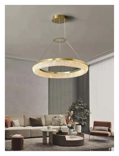 Plafonnier LED moderne anneau lumineux pour éclairer une grande table de séjour