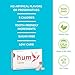 Stevita Hum, Cinnamon - Sugar-Free Gum - 12 Pieces, Pack of 12 - Supports Oral Health -, Non-GMO, Vegetarian, Keto, Gluten Free - 72 Total Servings