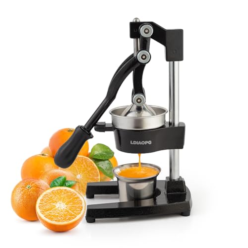Cast Iron Manual Juicer Press