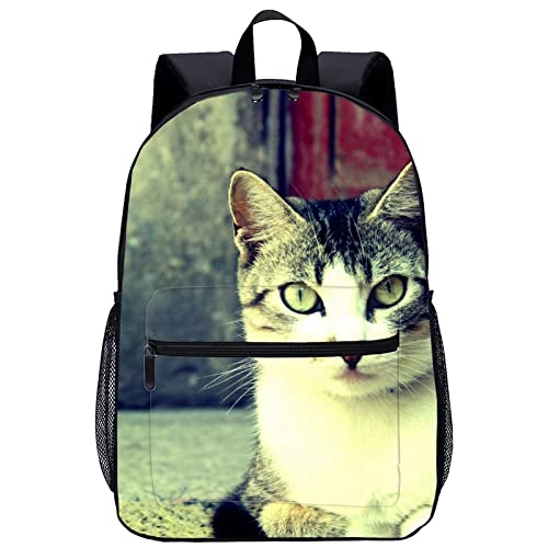 Mochila de viaje para gatos ideal para excursiones infantiles y uso diario escolar