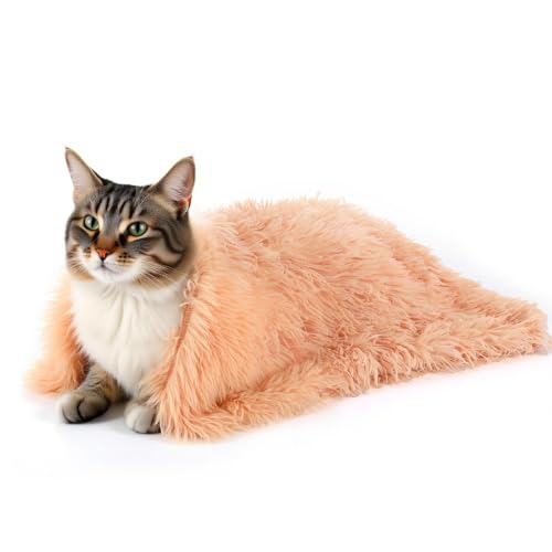 Dimeho Beruhigende Kuscheldecke für Haustiere Flauschige Decke für Hunde & Katzen Superweich und Warm 22 × 14 Zoll/56 × 36 cm Aprikose Welpendecke...