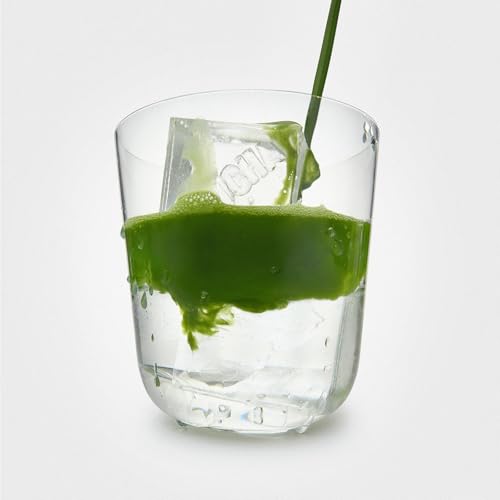 Té matcha puro en polvo 10 sachets 20g miniatura 4
