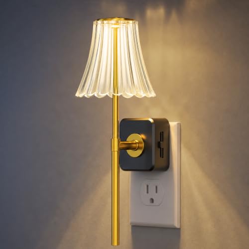 Image of Briignite LED Night Lights Plug into Wall, Decor Acrylic Vintage Nightlight